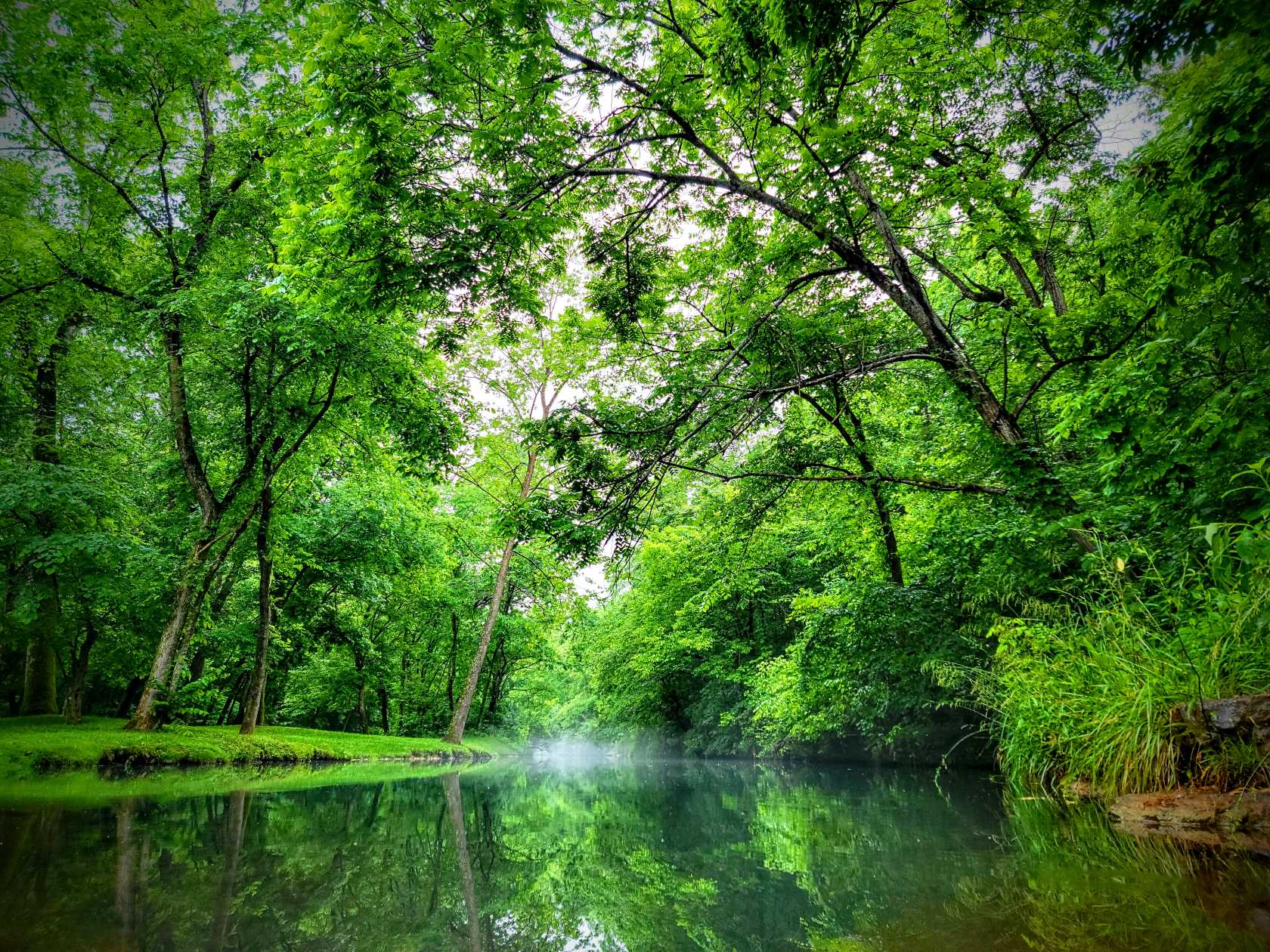 Clear stream, bridge, and limestone bluffs at Dogwood Canyon Nature Park near Branson Missouri