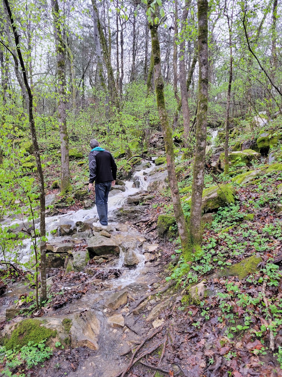 Wooded trail in the White River Valley Trail System near Table Rock State Park