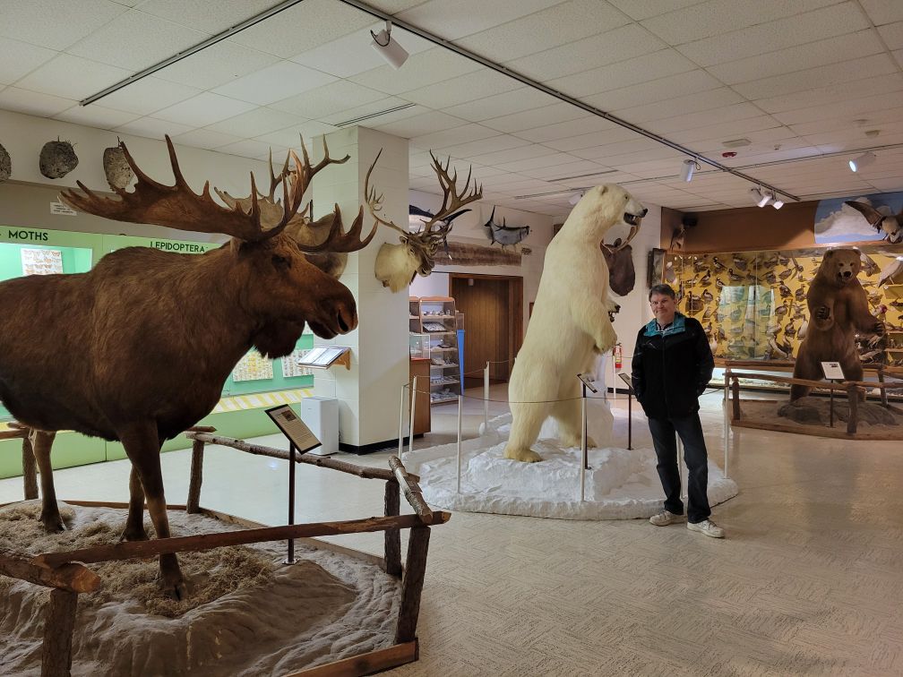 Museum exhibits and local history displays in Branson Missouri