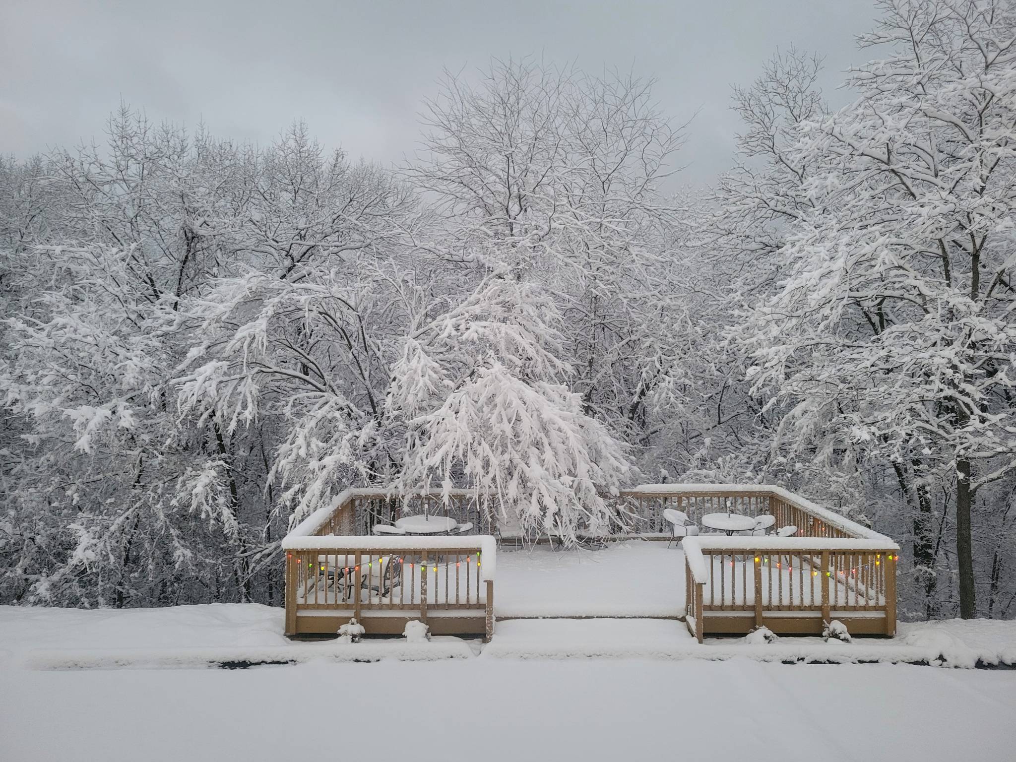 A couple planning a relaxed winter day in Branson Missouri